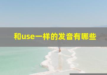 和use一样的发音有哪些