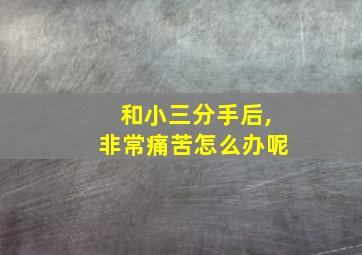 和小三分手后,非常痛苦怎么办呢