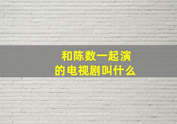 和陈数一起演的电视剧叫什么