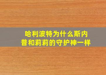 哈利波特为什么斯内普和莉莉的守护神一样