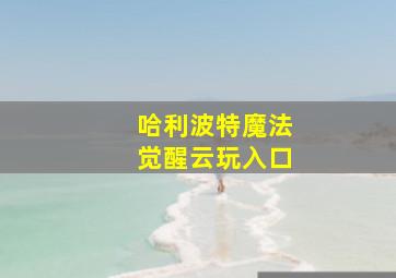 哈利波特魔法觉醒云玩入口