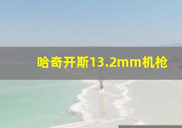 哈奇开斯13.2mm机枪