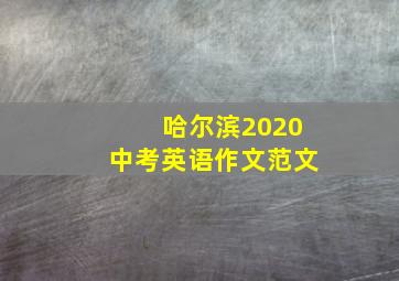 哈尔滨2020中考英语作文范文