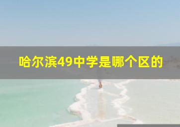 哈尔滨49中学是哪个区的