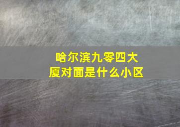 哈尔滨九零四大厦对面是什么小区