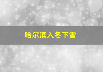 哈尔滨入冬下雪