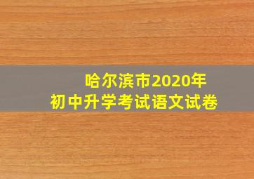 哈尔滨市2020年初中升学考试语文试卷