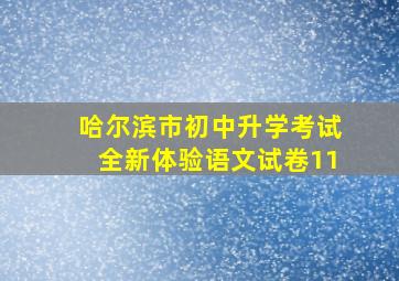 哈尔滨市初中升学考试全新体验语文试卷11