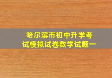 哈尔滨市初中升学考试模拟试卷数学试题一