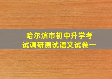 哈尔滨市初中升学考试调研测试语文试卷一