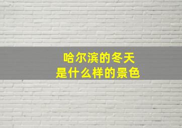 哈尔滨的冬天是什么样的景色