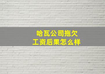 哈瓦公司拖欠工资后果怎么样