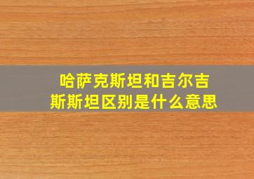 哈萨克斯坦和吉尔吉斯斯坦区别是什么意思