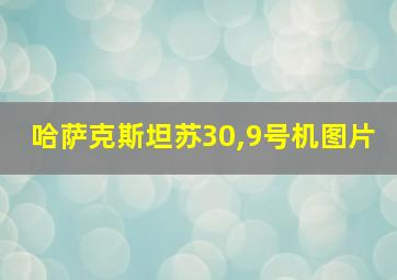 哈萨克斯坦苏30,9号机图片