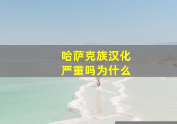 哈萨克族汉化严重吗为什么