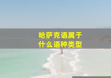 哈萨克语属于什么语种类型