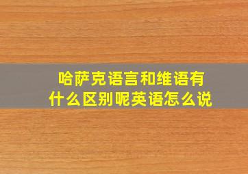 哈萨克语言和维语有什么区别呢英语怎么说