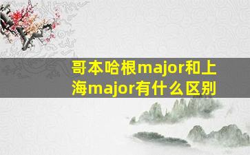 哥本哈根major和上海major有什么区别