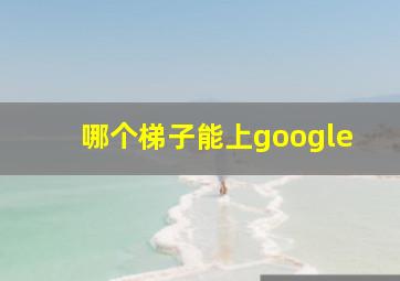 哪个梯子能上google