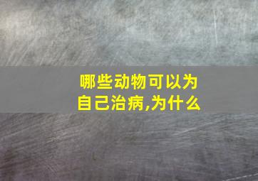 哪些动物可以为自己治病,为什么