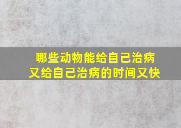 哪些动物能给自己治病又给自己治病的时间又快