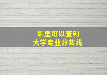 哪里可以查到大学专业分数线