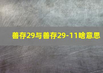 善存29与善存29-11啥意思