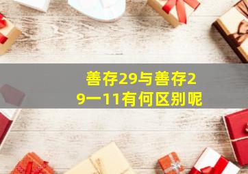 善存29与善存29一11有何区别呢