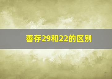 善存29和22的区别