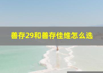 善存29和善存佳维怎么选