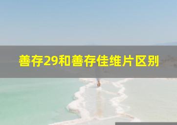 善存29和善存佳维片区别