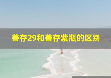 善存29和善存紫瓶的区别