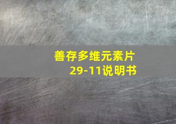 善存多维元素片29-11说明书