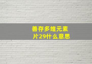 善存多维元素片29什么意思