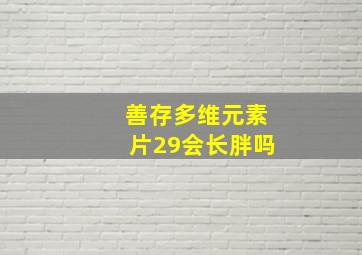 善存多维元素片29会长胖吗