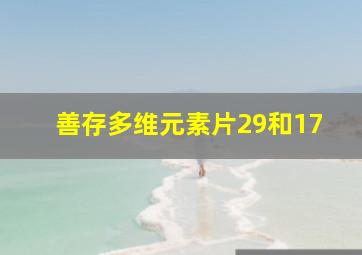 善存多维元素片29和17