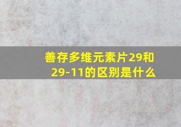 善存多维元素片29和29-11的区别是什么