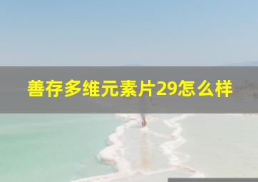 善存多维元素片29怎么样