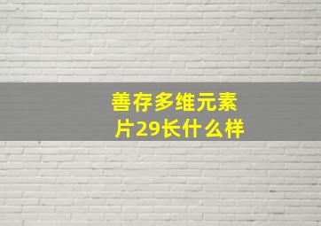 善存多维元素片29长什么样