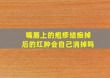 嘴唇上的疱疹结痂掉后的红肿会自己消掉吗