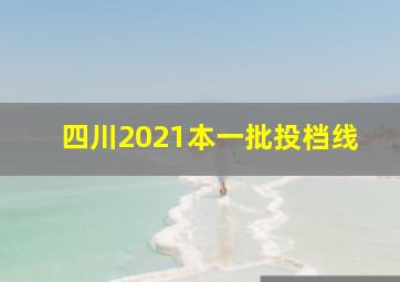 四川2021本一批投档线