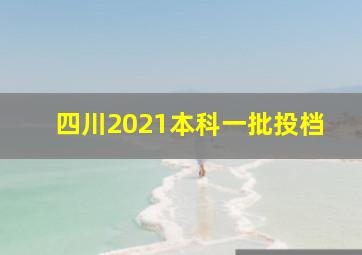 四川2021本科一批投档