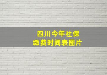 四川今年社保缴费时间表图片