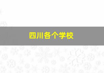 四川各个学校