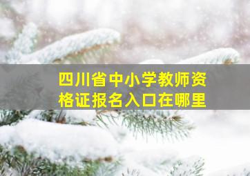 四川省中小学教师资格证报名入口在哪里