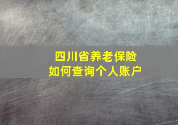 四川省养老保险如何查询个人账户