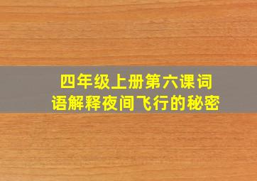 四年级上册第六课词语解释夜间飞行的秘密