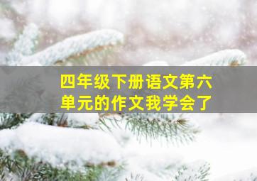 四年级下册语文第六单元的作文我学会了