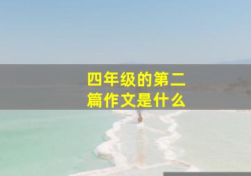 四年级的第二篇作文是什么