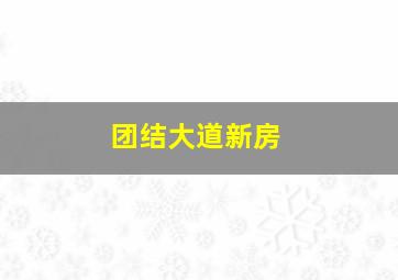 团结大道新房